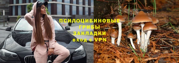 твердый Краснотурьинск